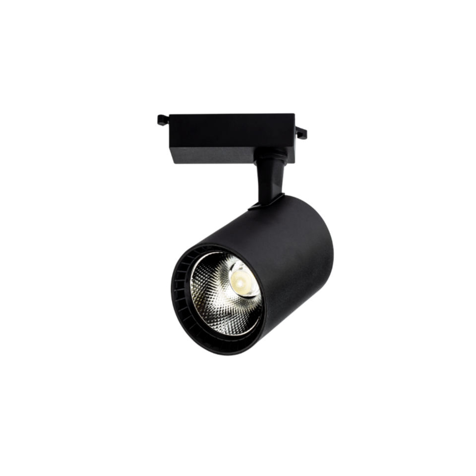 Cata CT-5334 30 WATT Babil Siyah Kasa Ray Spot Beyaz Led