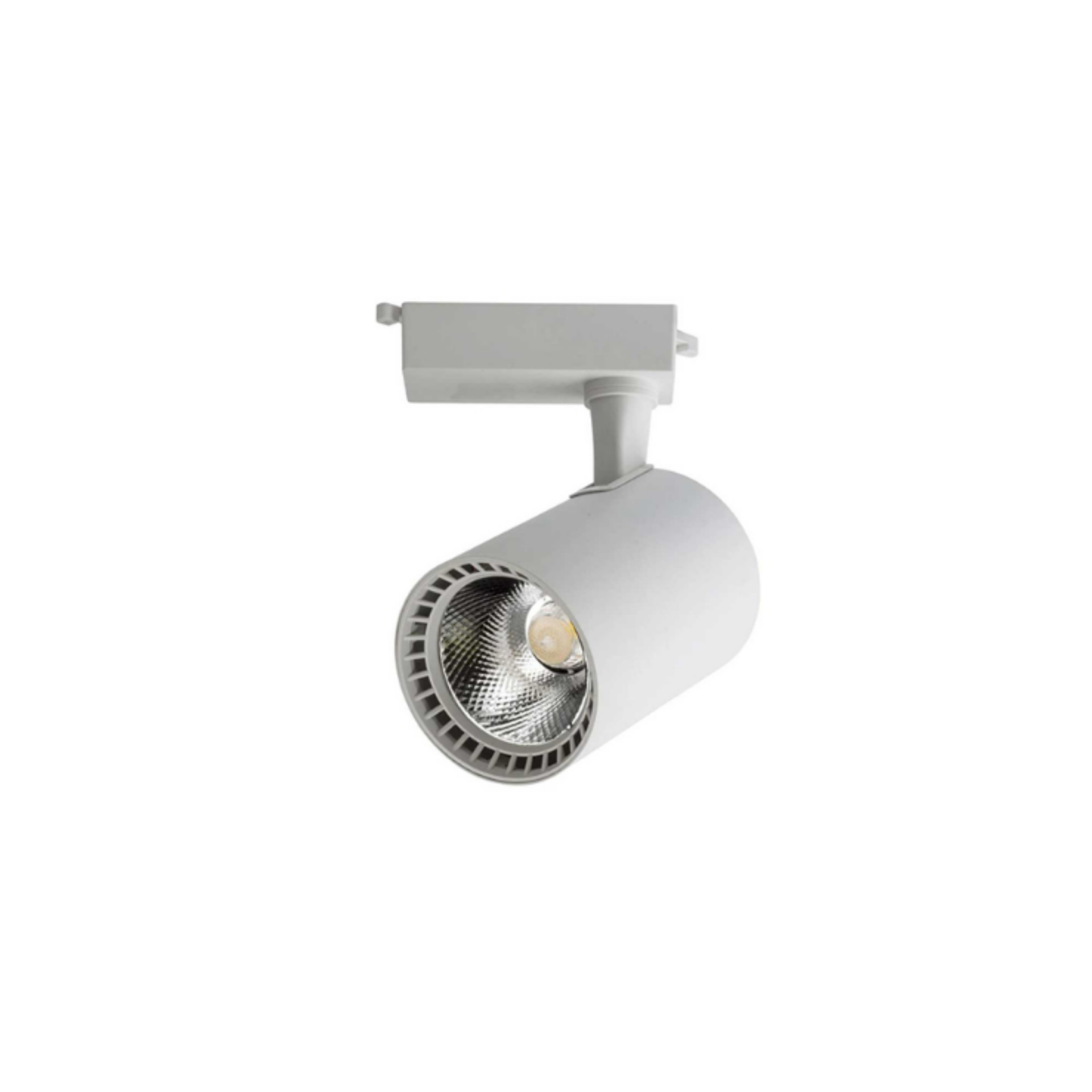 Cata CT-5333 30 Watt Babil Beyaz Kasa Ray Spot Beyaz Led